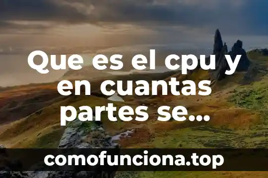 Qué es axiología y con cuantas ramas se relaciona 8 Que es el cpu y en cuantas partes se divide