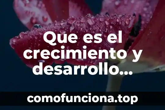 Que es el crecimiento economico macroeconomia 8 Que es el crecimiento y desarrollo económico