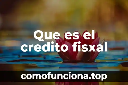 Que es una sociedad de credito nacional 6 Que es el credito fisxal