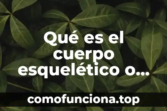 Que es cuerpo geometrico simples 5 Qué es el cuerpo esquelético o de Meddlar