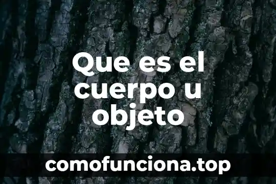Que es una leyenda en un objeto de investigacion 4 Que es el cuerpo u objeto