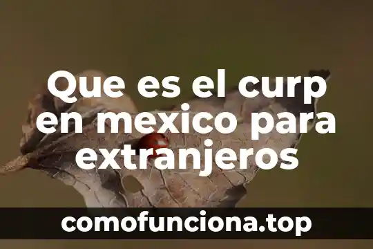 Que es un municipio suburbano en mexico 5 Que es el curp en mexico para extranjeros