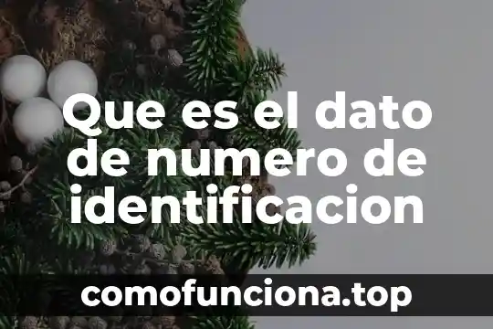Qué es el número de identificación vehicular NIV 5 Que es el dato de numero de identificacion