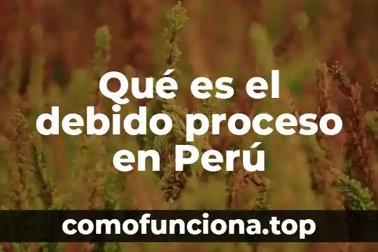 Que es proceso de vinculación y difusión de la cultura 5 Qué es el debido proceso en Perú