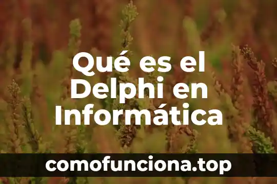 Que es informatica y la sociedad 4 Qué es el Delphi en Informática