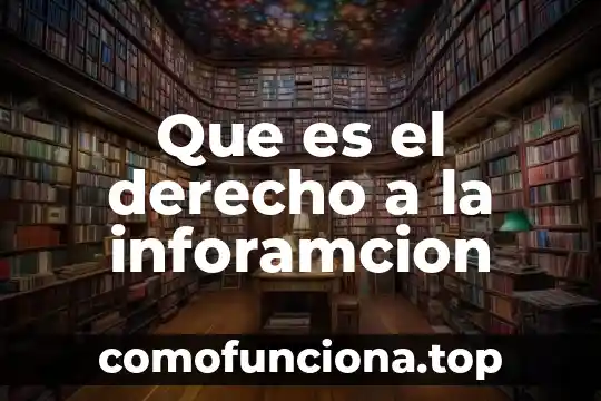 Que es el patrimonio en derecho segun zachary levi 6 Que es el derecho a la inforamcion