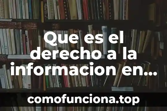 Conferencia sobre qué es la sociedad 6 Que es el derecho a la informacion en la sociedad
