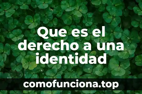 Que es el plexo lumbosacro de un animal 7 Que es el derecho a una identidad