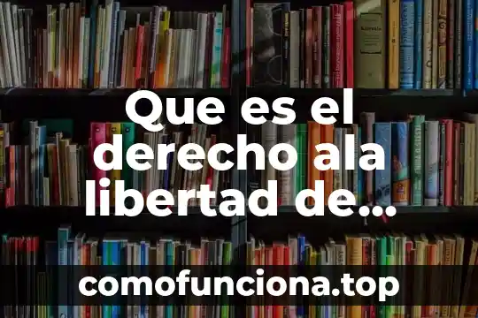 Que es vicio oculto en derecho 7 Que es el derecho ala libertad de opinion y expresion