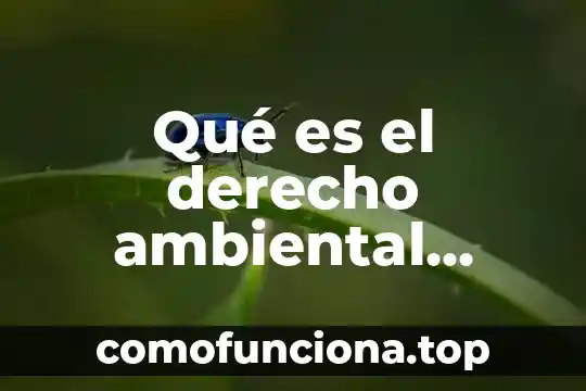 Que es alias de tarjeta opcional 5 Qué es el derecho ambiental opinión personal