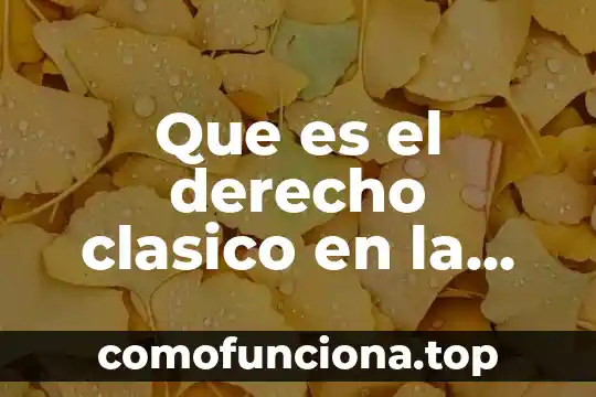 Que es el periodo clasico que significa 4 Que es el derecho clasico en la actualidad