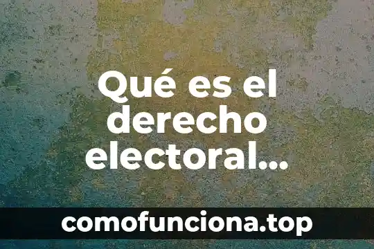 Que es estanco en derecho economico 3 Qué es el derecho electoral conclusión