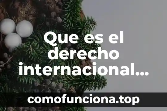 Qué es una oración definición para niños 6 Que es el derecho internacional publico definicion