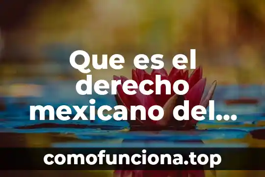Que es ser mexicano para niños 7 Que es el derecho mexicano del trabajo por que es