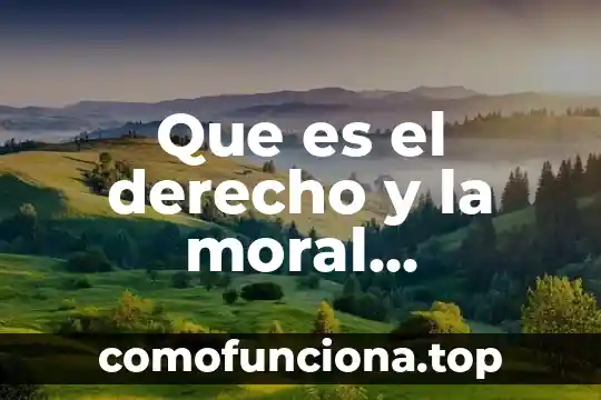 En derecho qué es un principio 5 Que es el derecho y la moral autorregulación