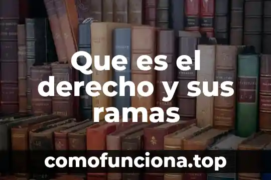 Que es historia ramas 5 Que es el derecho y sus ramas