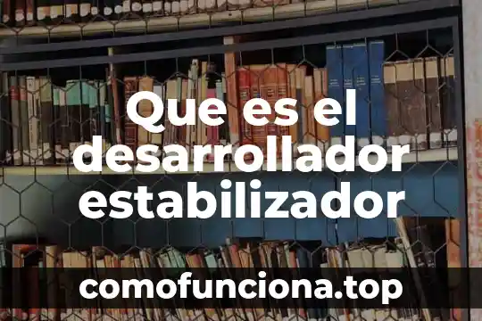 Que es ser desarrollador full stack 4 Que es el desarrollador estabilizador
