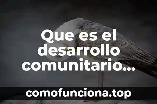 Qué es planificación para el desarrollo 5 Que es el desarrollo comunitario definicion