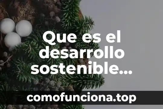 Qué es planificación para el desarrollo 6 Que es el desarrollo sostenible objetivos