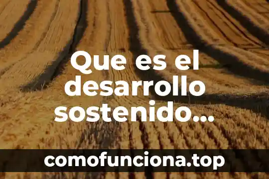 Qué es definición de sostenible en desarrollo sustentable 5 Que es el desarrollo sostenido sustentable y sostenible