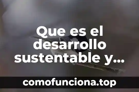 Qué es planificación para el desarrollo 7 Que es el desarrollo sustentable y sosodupe