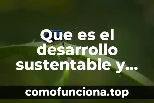 Que es el principio precautorio y el desarrollo sustentable 6 Que es el desarrollo sustentable y sus antecedentes historicos