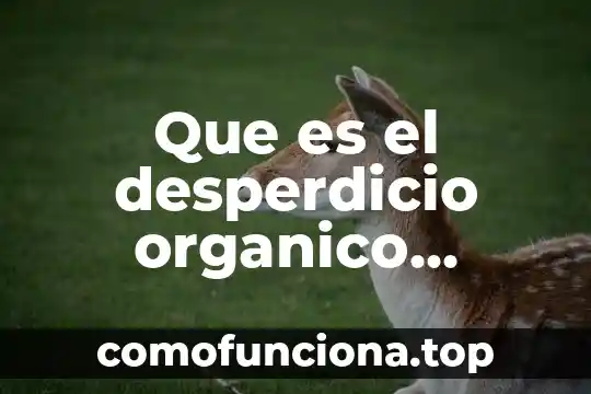 Ejemplos patrimonio moral que es 8 Que es el desperdicio organico ejemplos