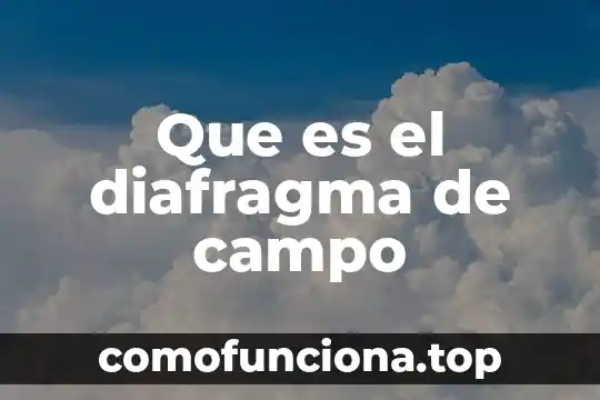 Que es campo magnectico 7 Que es el diafragma de campo