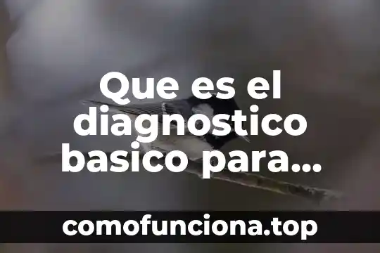 Qué es la gestión integral de riesgos y desastres 7 Que es el diagnostico basico para gestion integral residuos