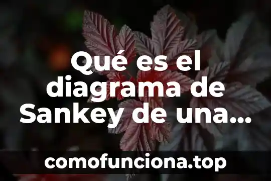 Que es un diagrama en espiral 6 Qué es el diagrama de Sankey de una bomba centrífuga