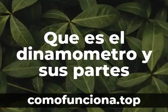 Que es una lechuga y sus partes 5 Que es el dinamometro y sus partes