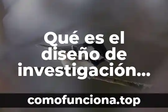 Kobe Bryant dice que es el mejor jugador de la historia 8 Qué es el diseño de investigación explicativo