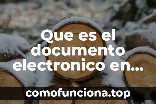 Que es un circuito electronico de proceso 3 Que es el documento electronico en comercio exterior
