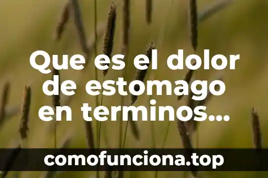 Que es semejanza en terminos matematicos 6 Que es el dolor de estomago en terminos populares