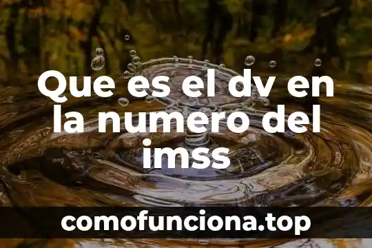 Número e que es 8 Que es el dv en la numero del imss