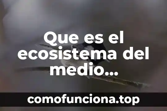 Que es una leyenda local yahoo 4 Que es el ecosistema del medio ambiente yahoo