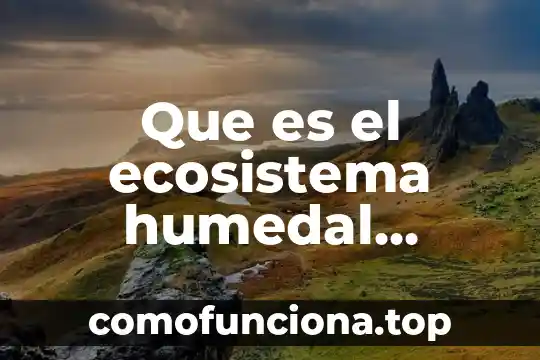 Qué es la representación gráfica en dibujo 5 Que es el ecosistema humedal dibujo