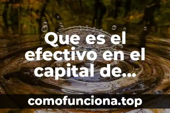 Que es efectivo restringido nif 5 Que es el efectivo en el capital de trabajo