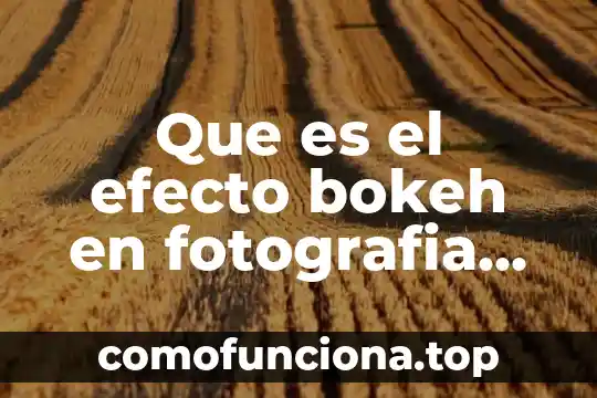 Que es una planta de sombra 7 Que es el efecto bokeh en fotografia para android