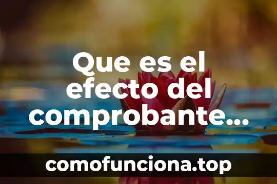 Que es la libertad y que demanda este derecho 6 Que es el efecto del comprobante traslado