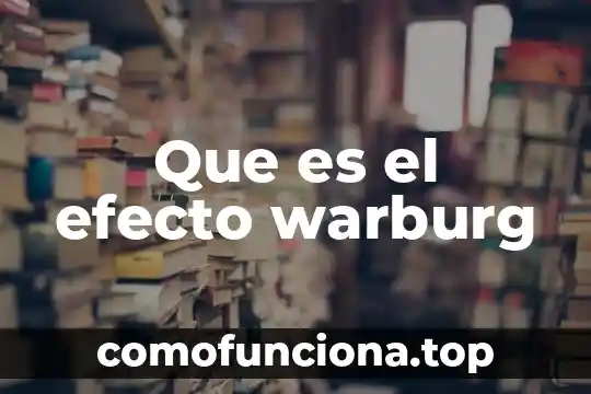 Sol que es infantil 7 Que es el efecto warburg