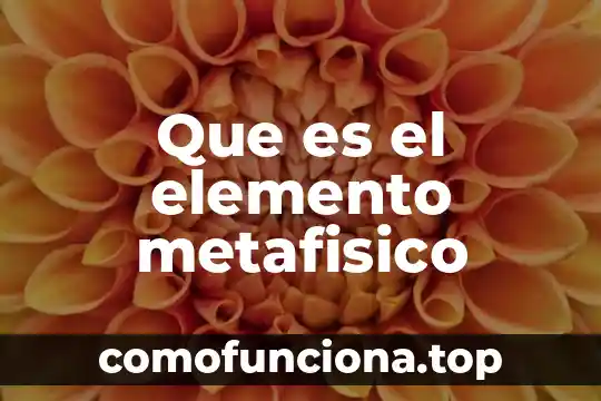 Que es el ansia elemento 7 Que es el elemento metafisico