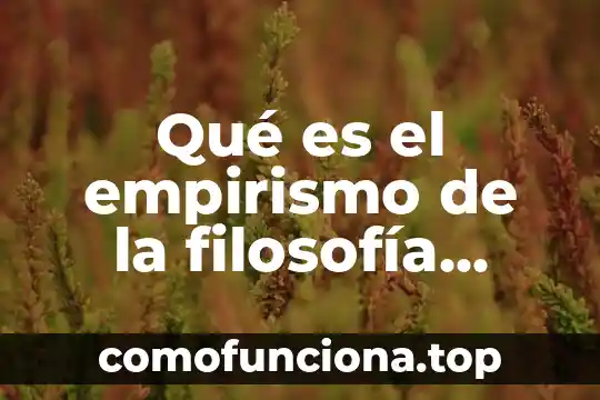 Opiiones sobre que piensan que es la filosofía 3 Qué es el empirismo de la filosofía moderna