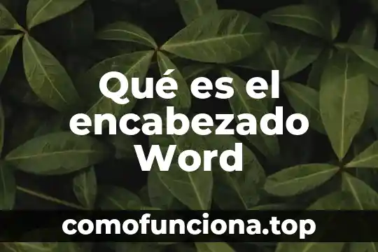 Que es un encabezado en un libro 6 Qué es el encabezado Word