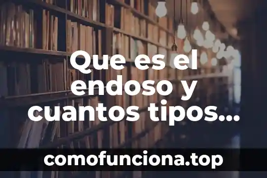 Que es un carnaval y cuales hay en mexico 8 Que es el endoso y cuantos tipos de endoso hay