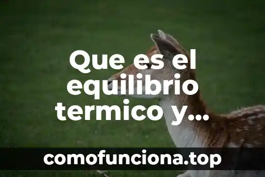 Que es equilibrio termico dibujos 5 Que es el equilibrio termico y dibujo