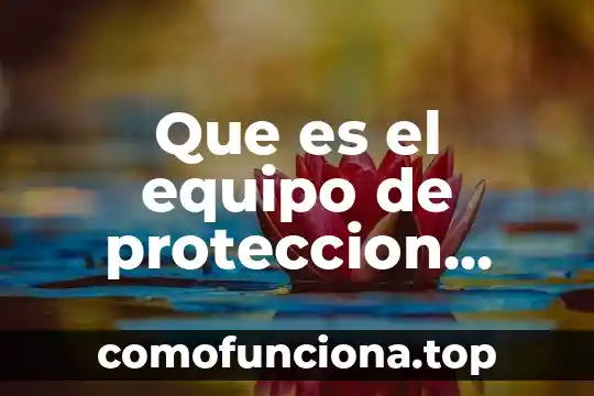 Que es la conciencia moral o personal 5 Que es el equipo de proteccion personal basico