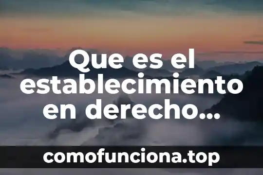 Que es el sujeto mercantil y su historia 3 Que es el establecimiento en derecho mercantil