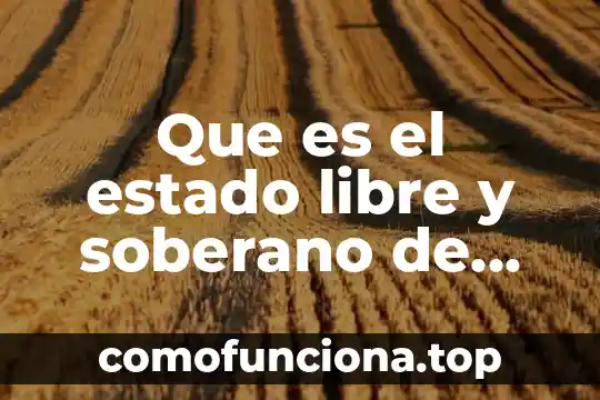 Que es tiempo libre en la sociedad 7 Que es el estado libre y soberano de jalisco