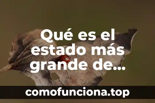 Que es mas grande pokar o flor y seguida 5 Qué es el estado más grande de México
